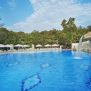 https://hotel-forest-beach.primorskohotels.com